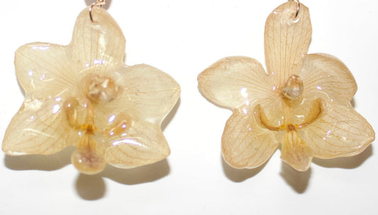 Yellow Super mini Orchid Studs